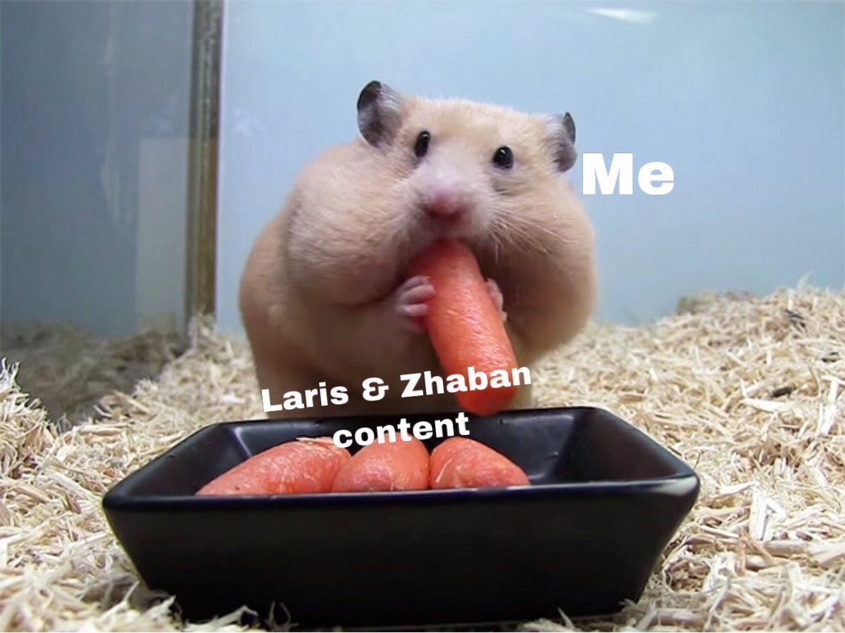 Хомячок хомячок добродушный