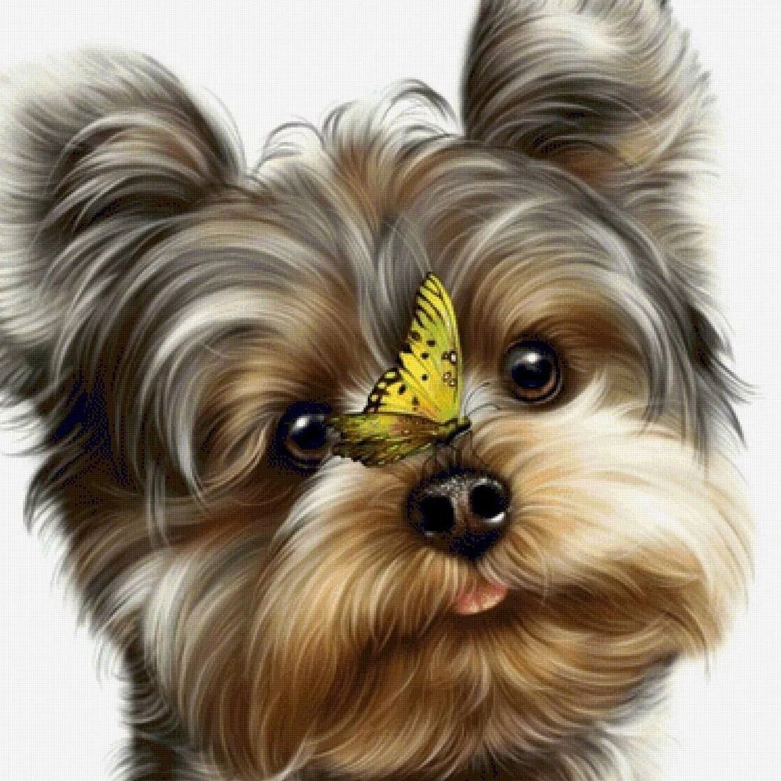 Скетч Йоркширский терьер