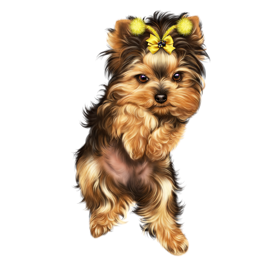 Порода чорки