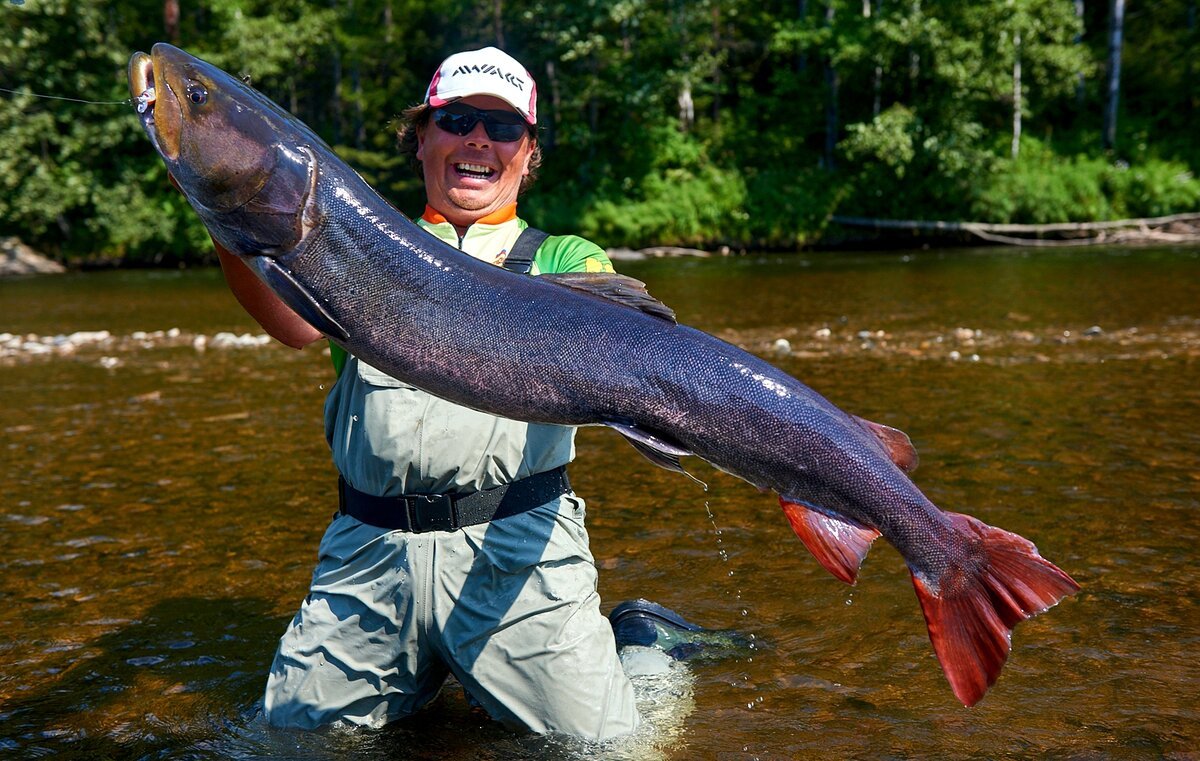 Таймень РХ 340