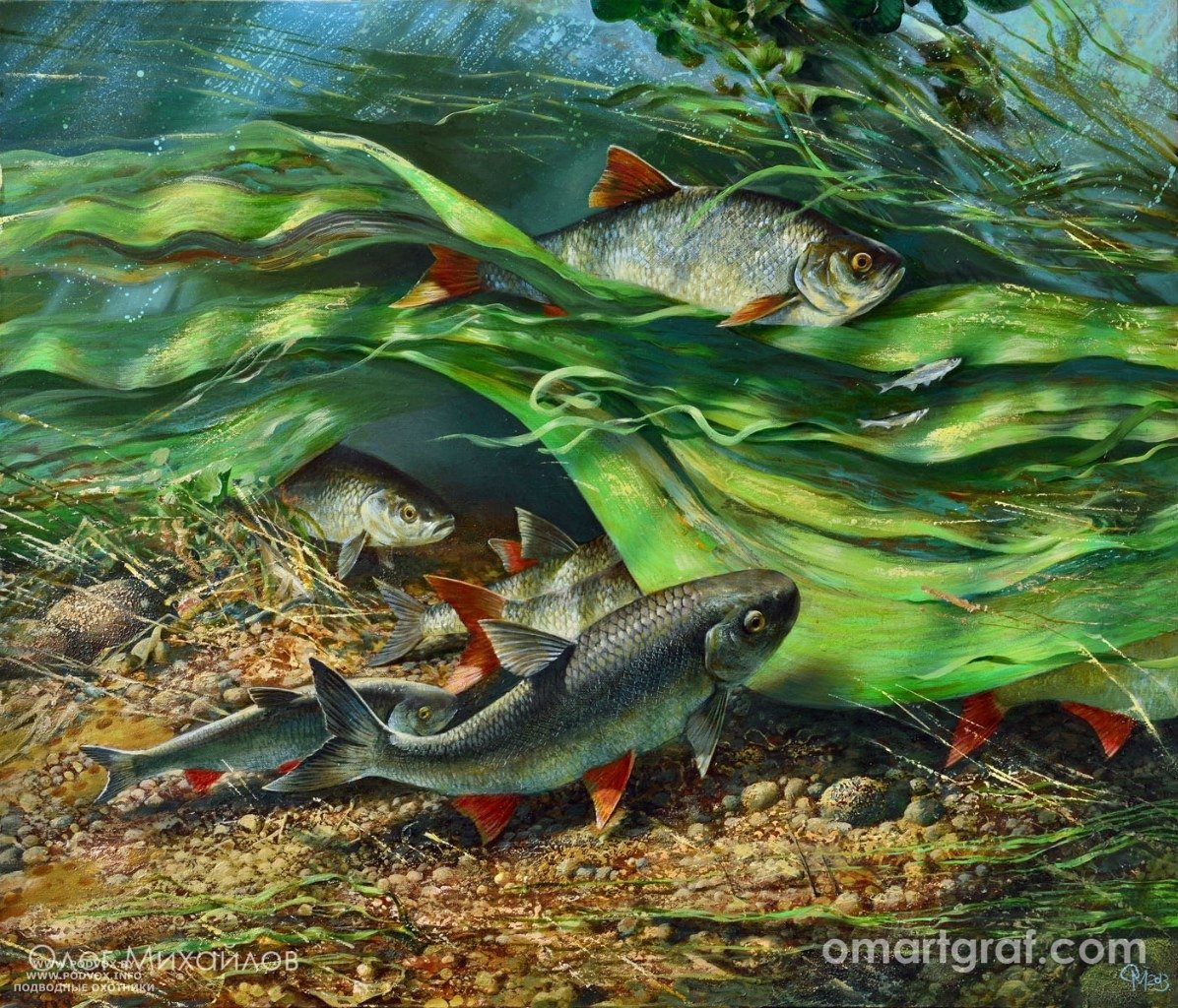 Речные рыбы живописью