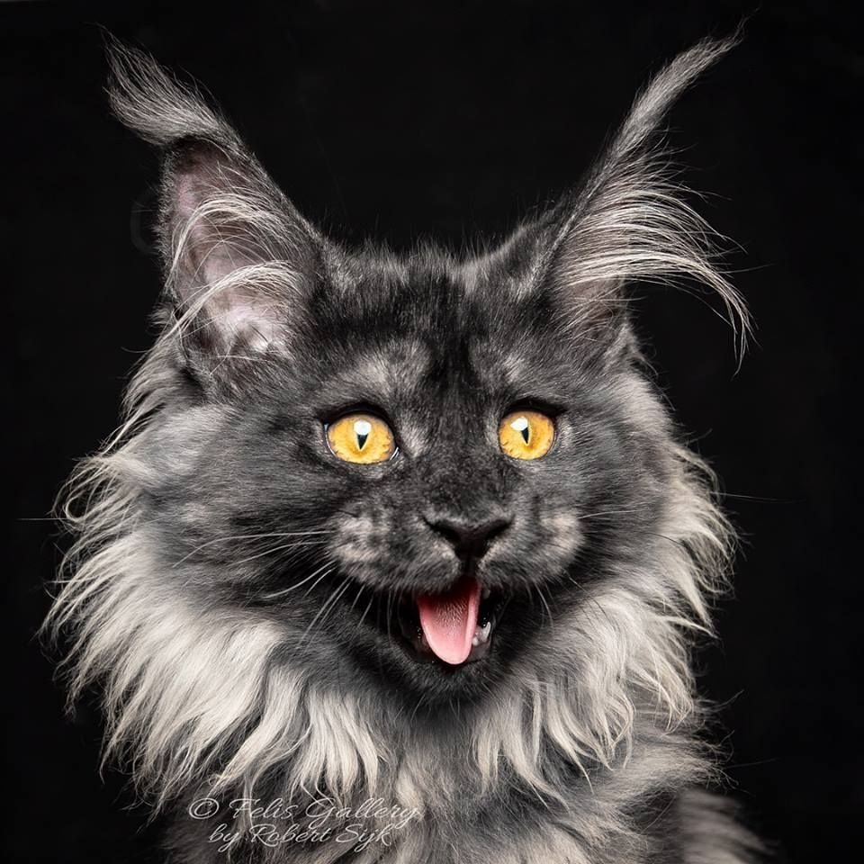 Анна Белоусова Новороссийск