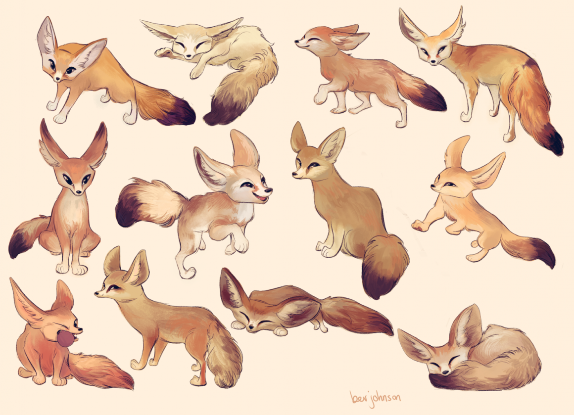 Пушистый хвост лисицы