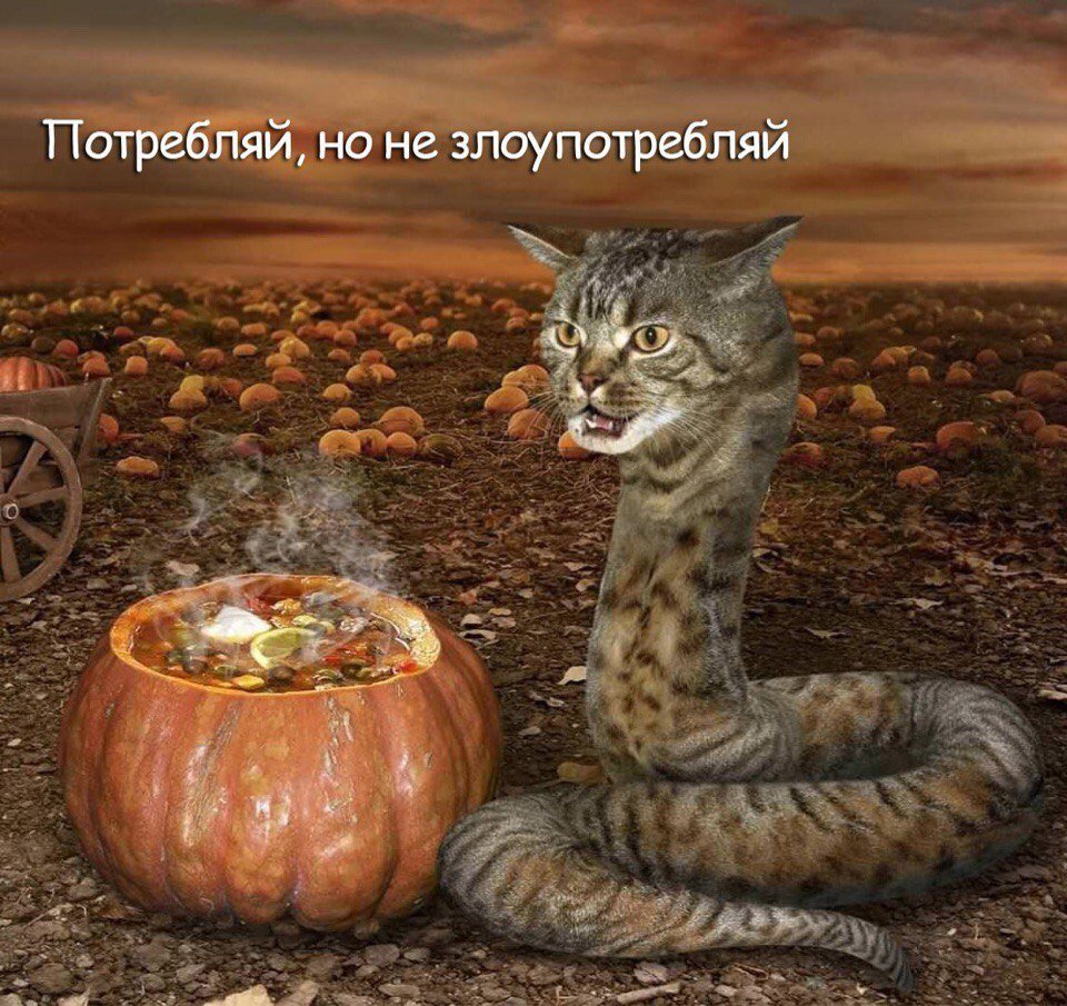 Морской питон