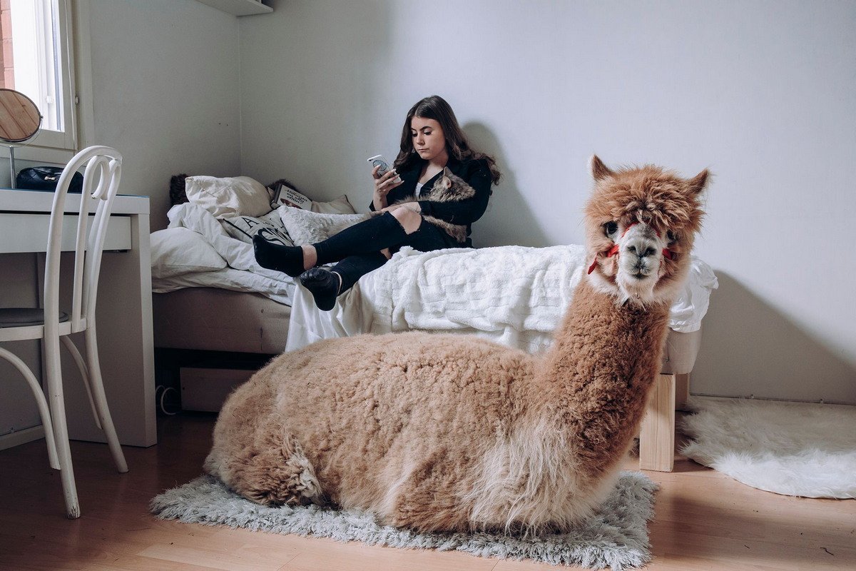 Необычные домашние животные