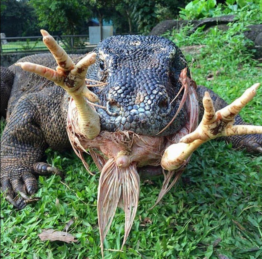 Rapeepong phataiwunnakul / Shutterstock