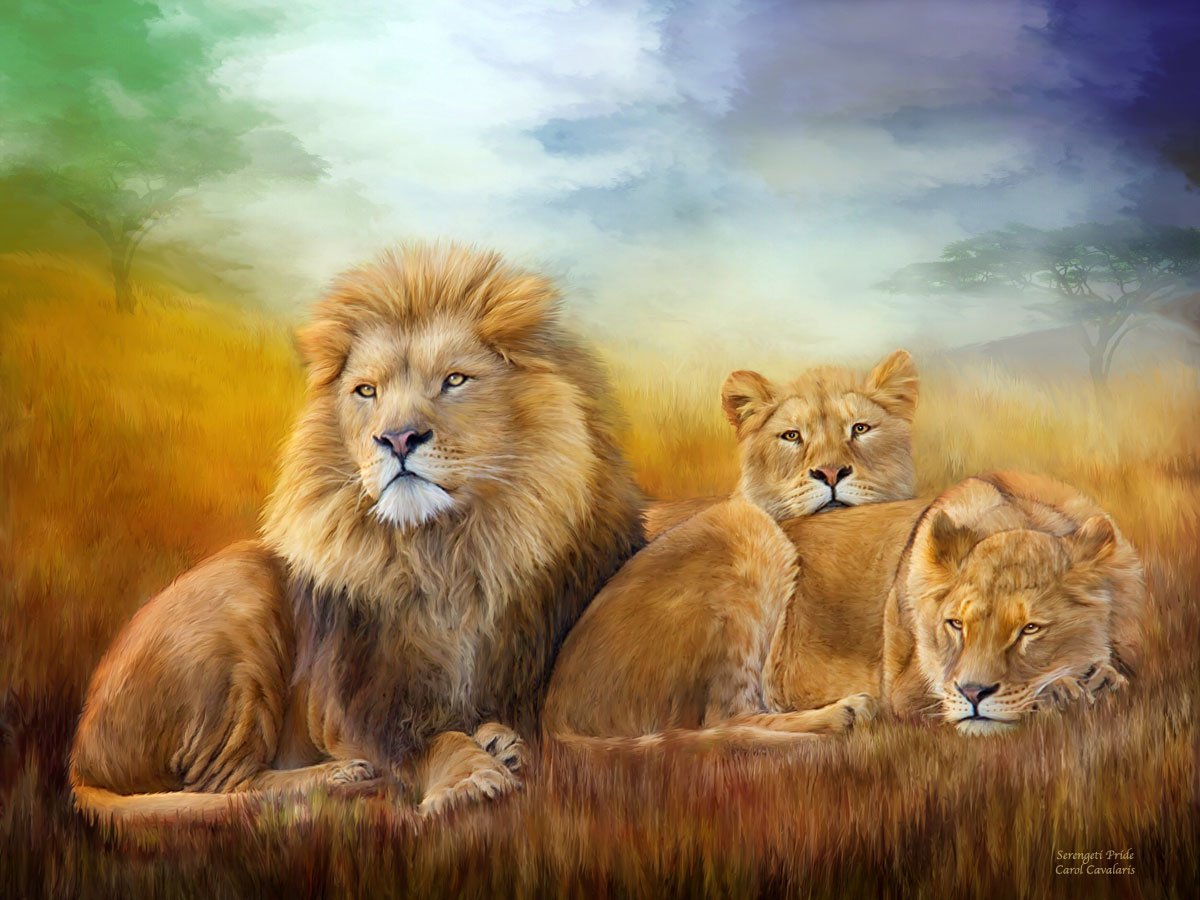 Полуволк полулев