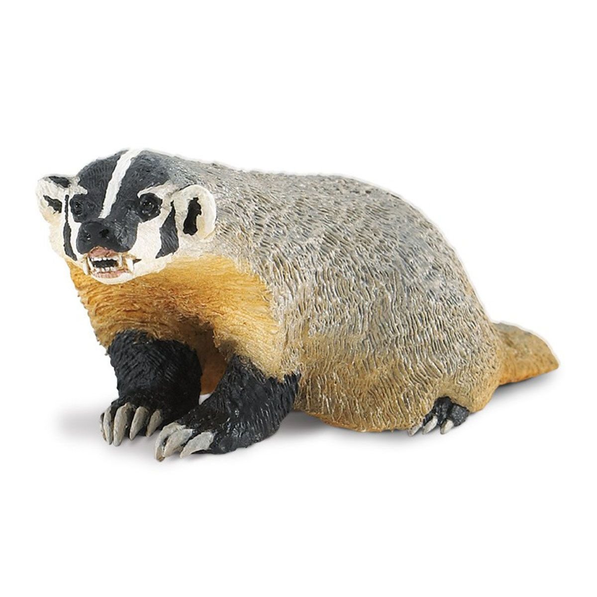 Детеныш барсука