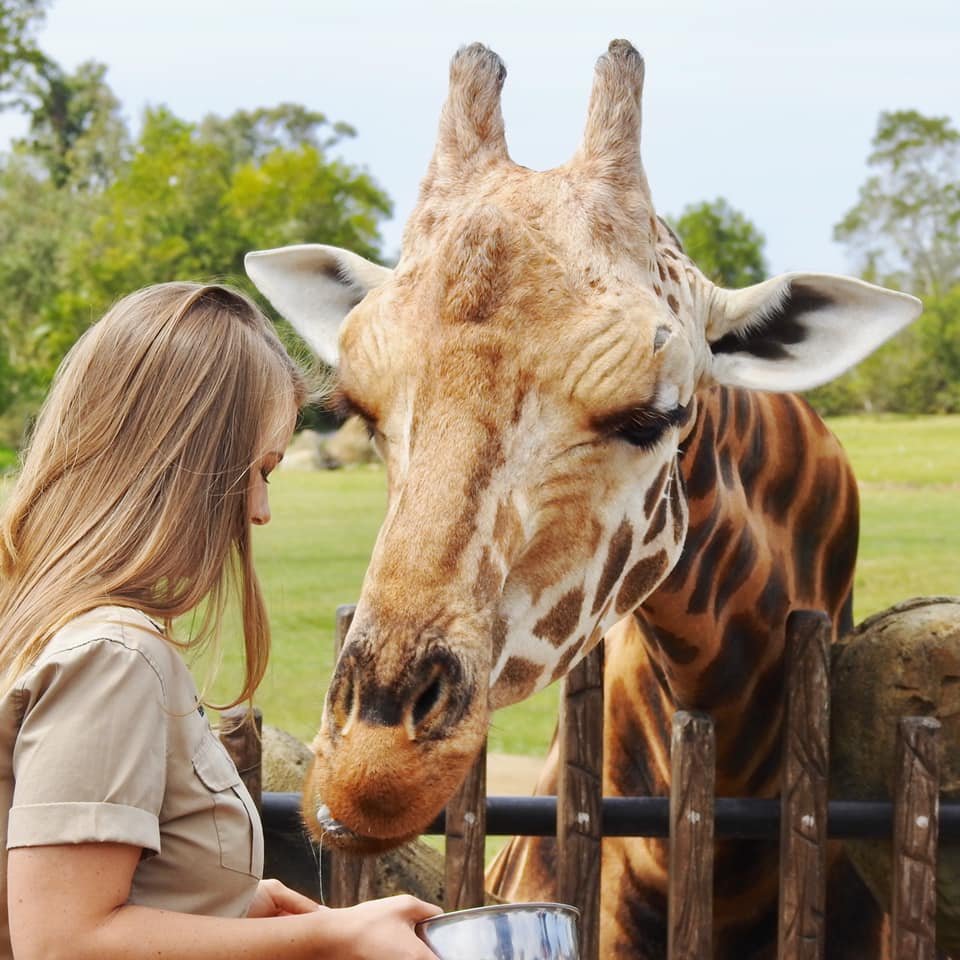 Интересные животные мира