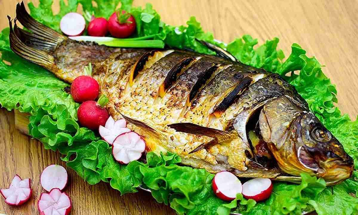 Рыба собака Охотское море