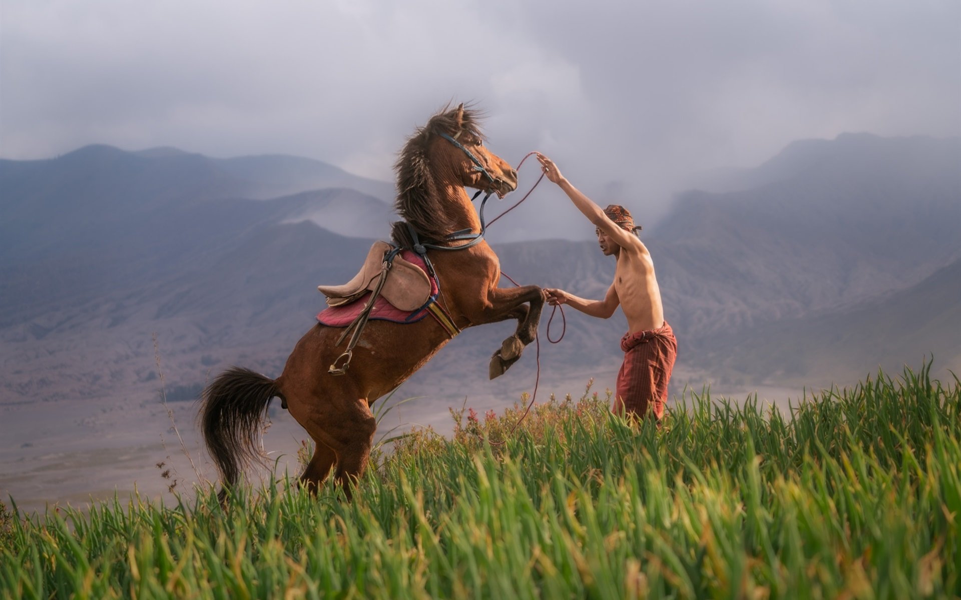 Сиен сиен казахская песня слушать. Конь в поле. Лошадь в поле. Лошади в горах. Мужчина на лошади.
