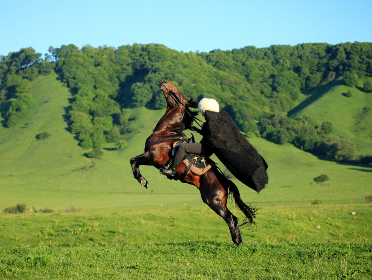 Кабардино Балкария лошади джигит