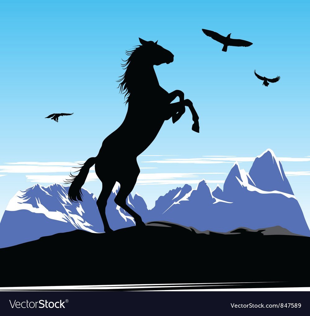 Джигит Векторная Графика