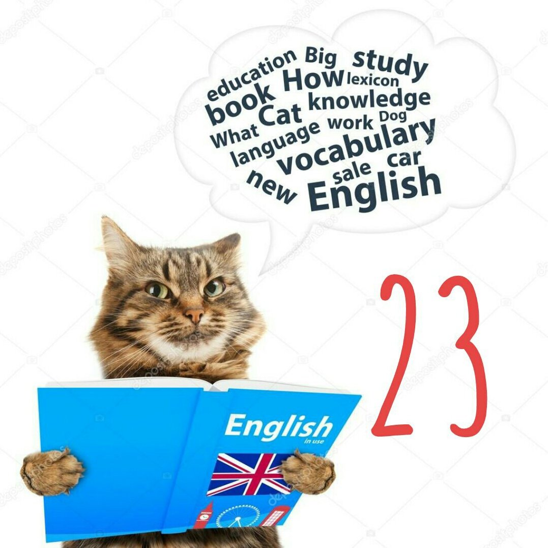 Кот с учебником английского