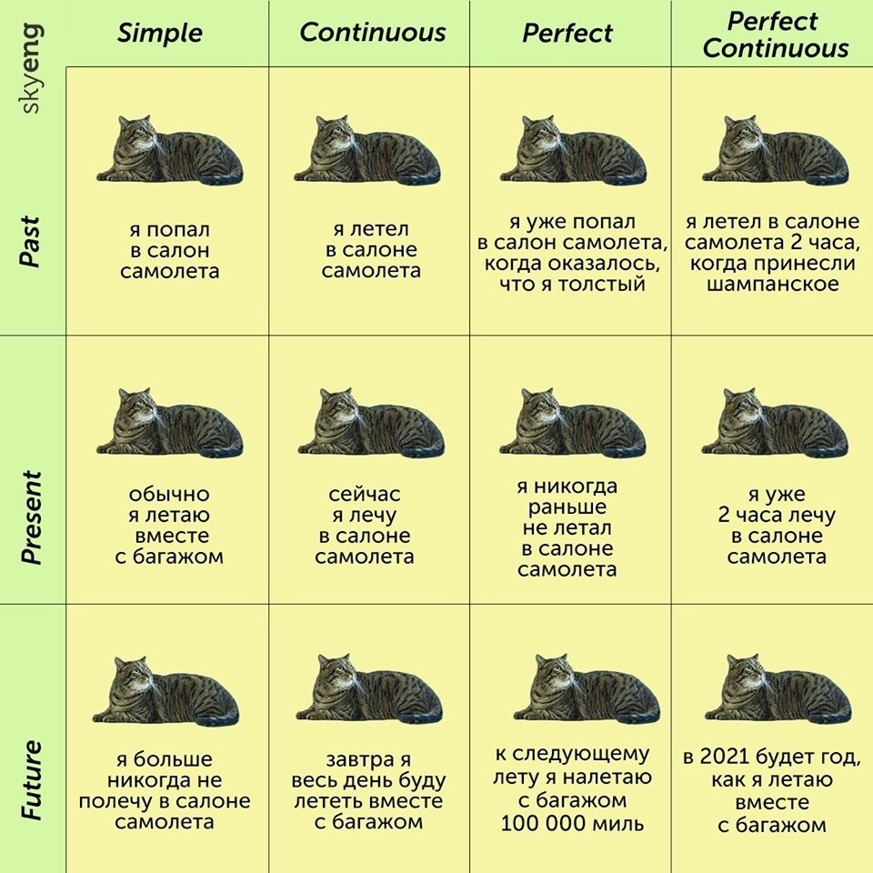 Кот в Лондоне