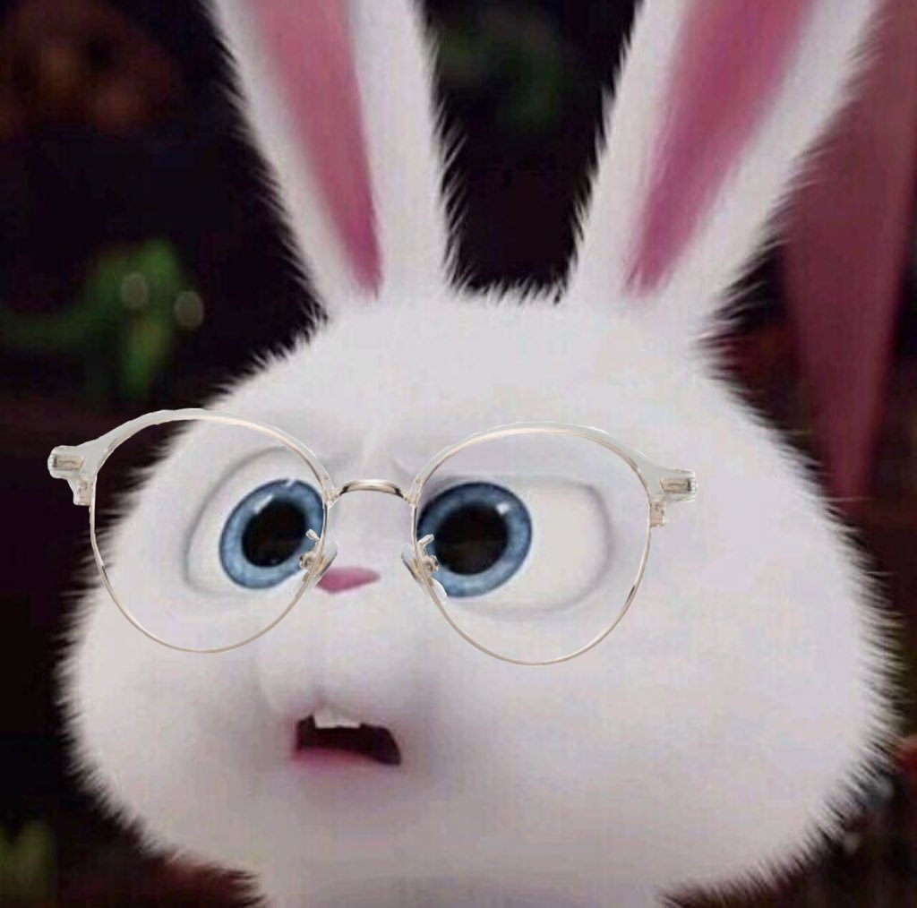 Тайная жизнь домашних животных кролик снежок