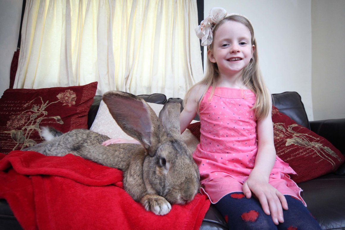 Остров Окуносима Япония