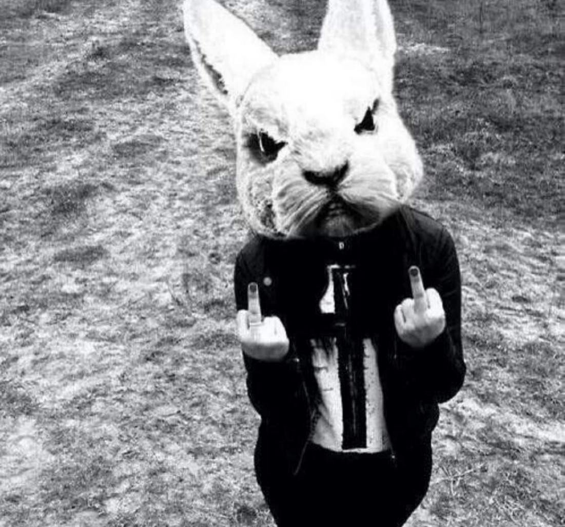 Белый кролик из сериала отбросы