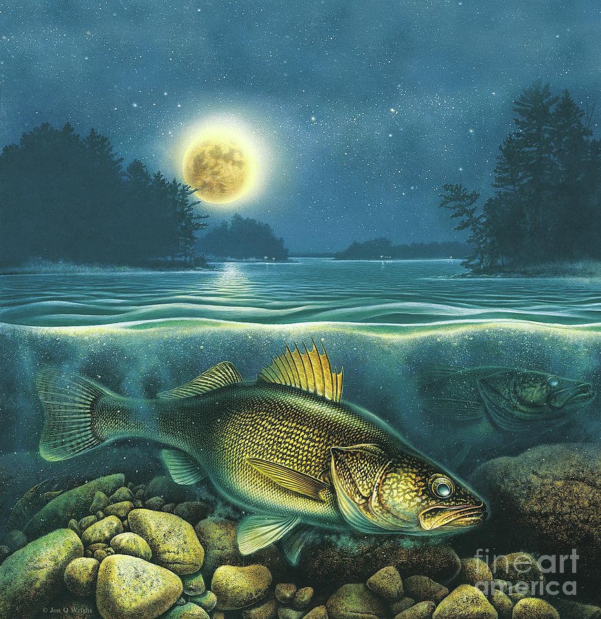 Полотно рыба. Картина рыбы. Рыба арт. Ночные рыбы. Рыбки живопись.