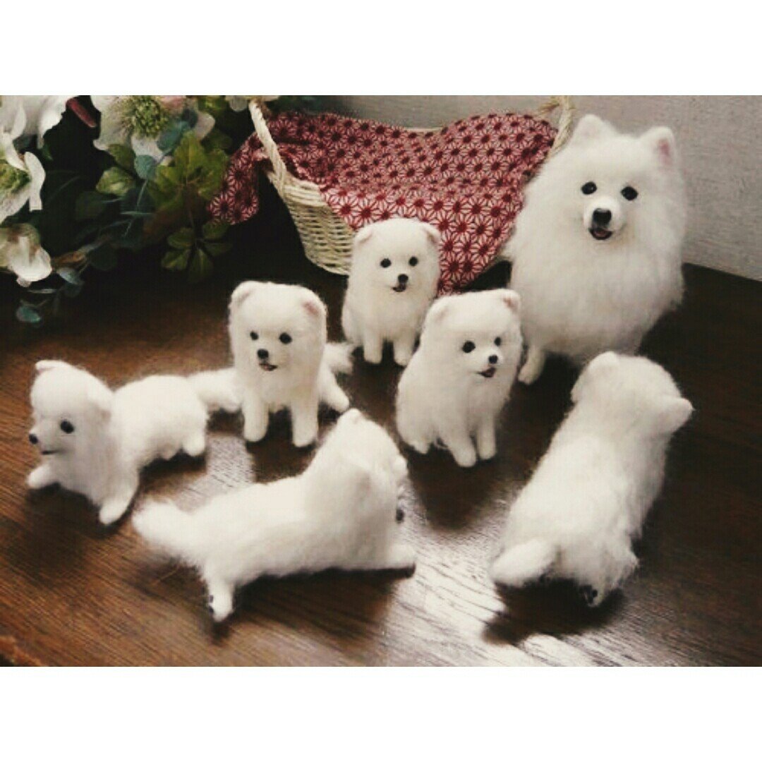 Китайский щенок белый