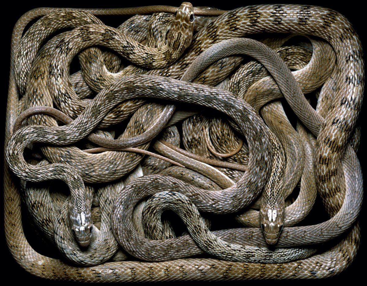 Кеймада Гранди