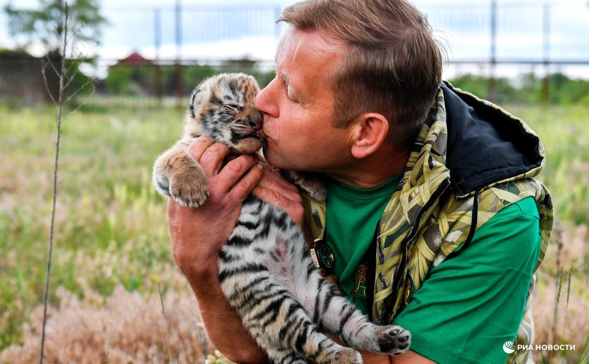 Парк Тайган Крым