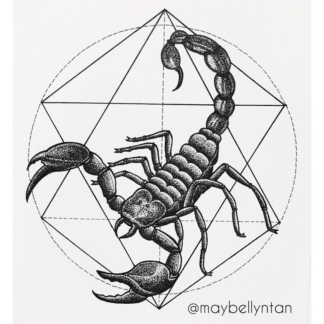 Татуировка Скорпион эскизы