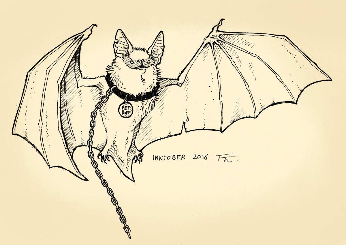 Картинки для срисовки летучая мышь