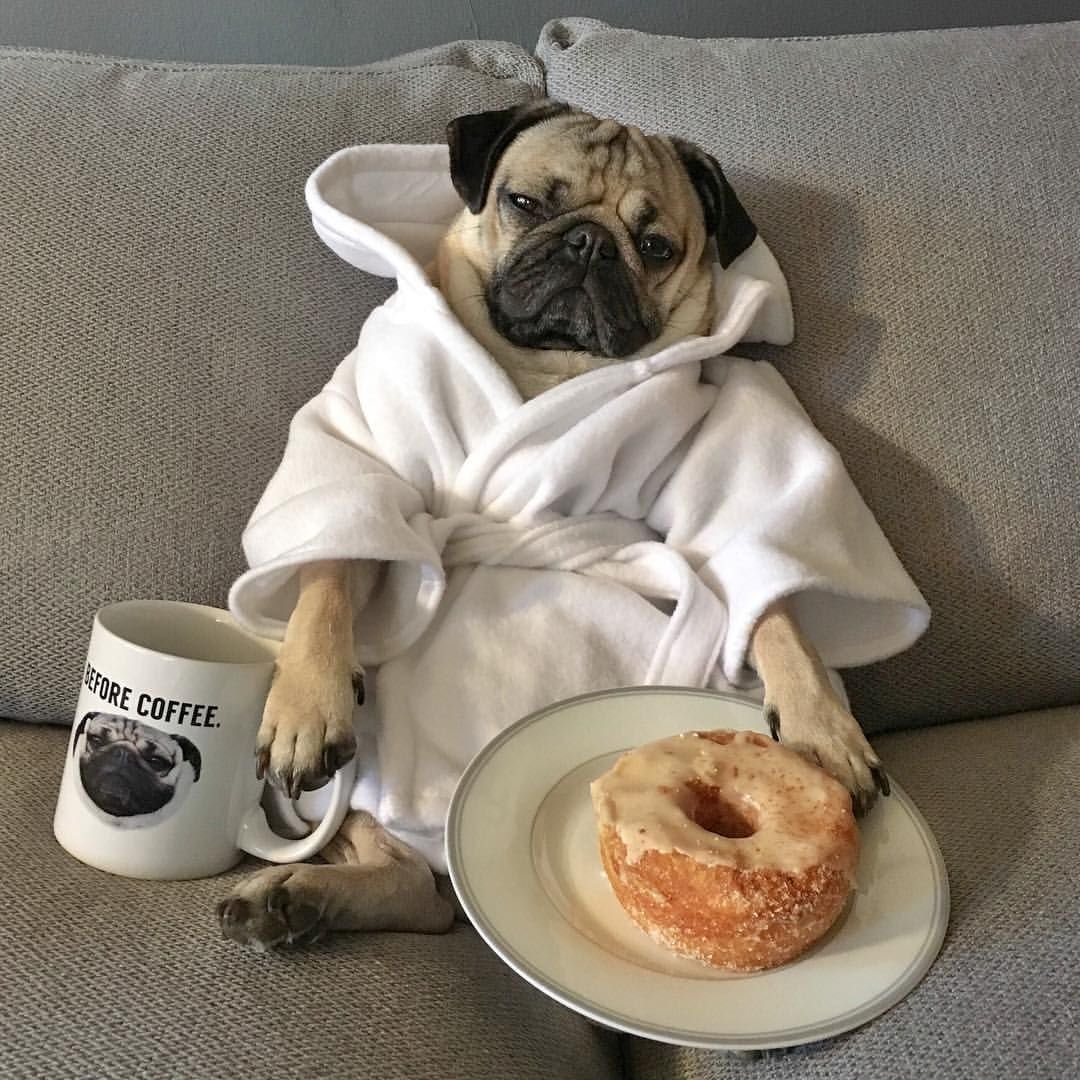 Кампейн 2020 Gucci