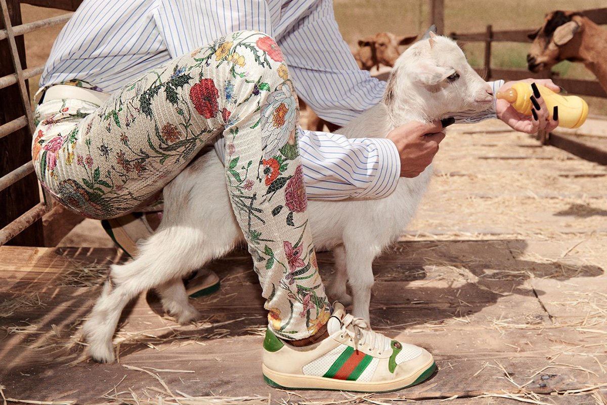 Капсульные коллекции гуччи