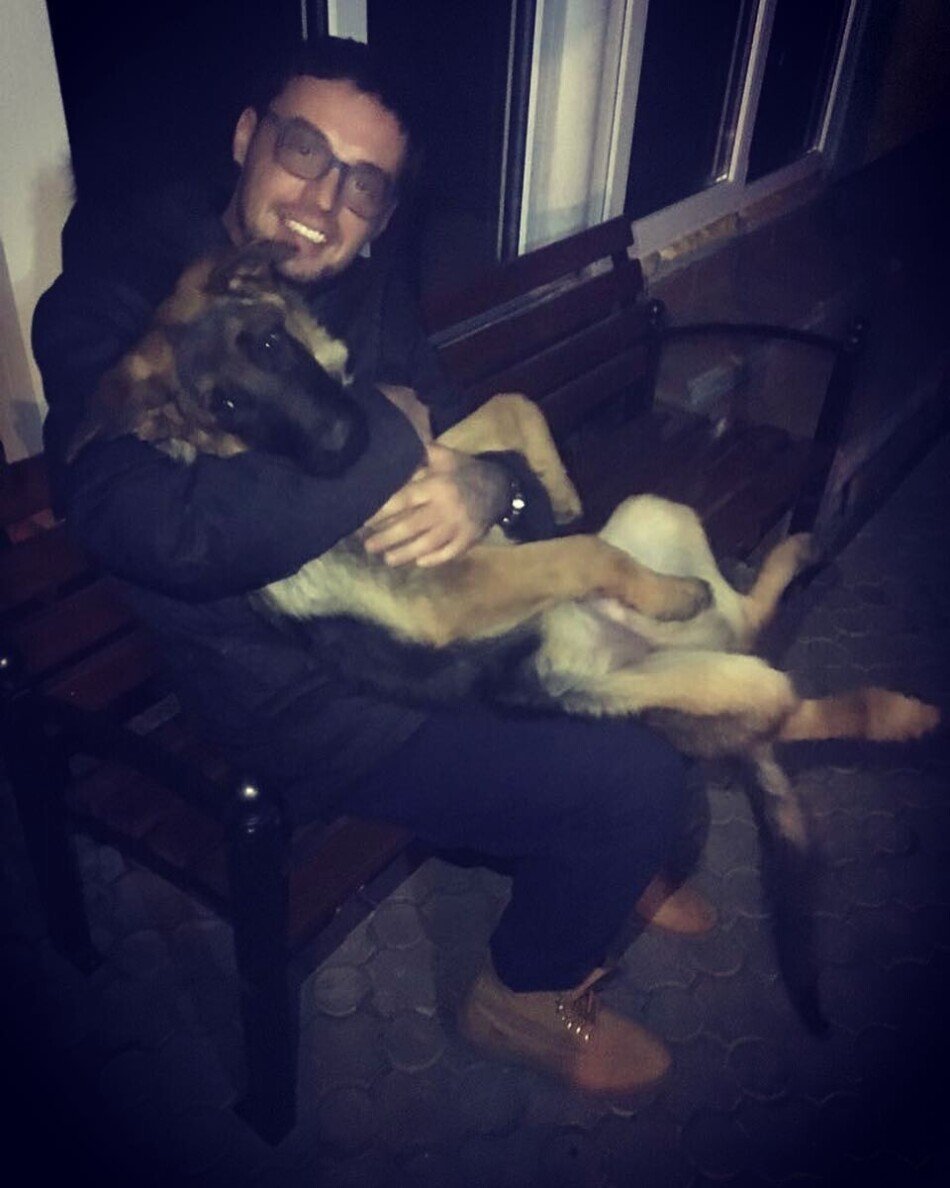 Одежда для собак Gucci