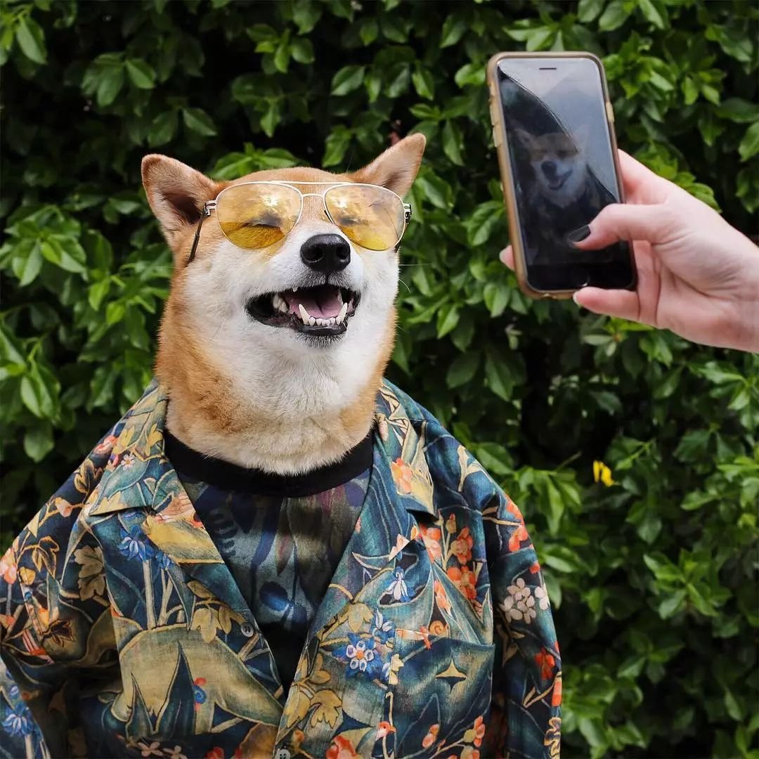 Глен Лачфорд Gucci