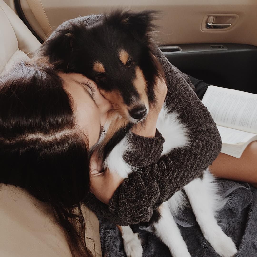 Стильный Бен собака на аву