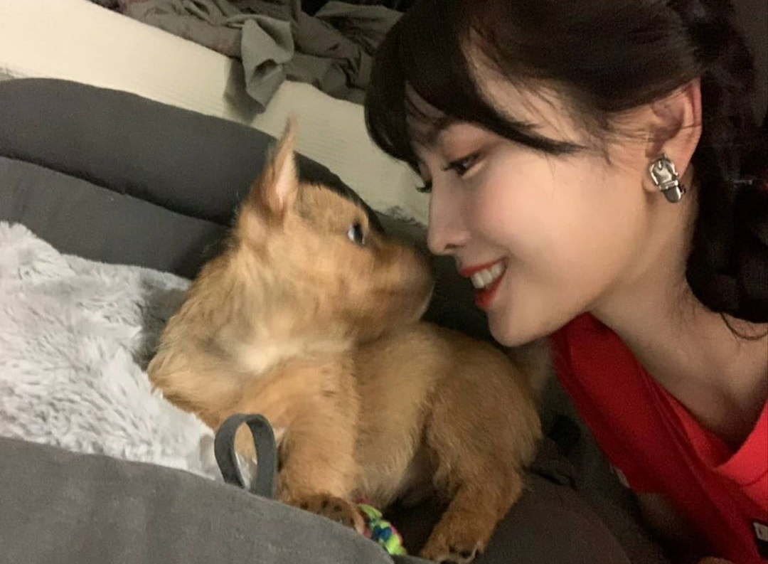 Доброе утро прикол