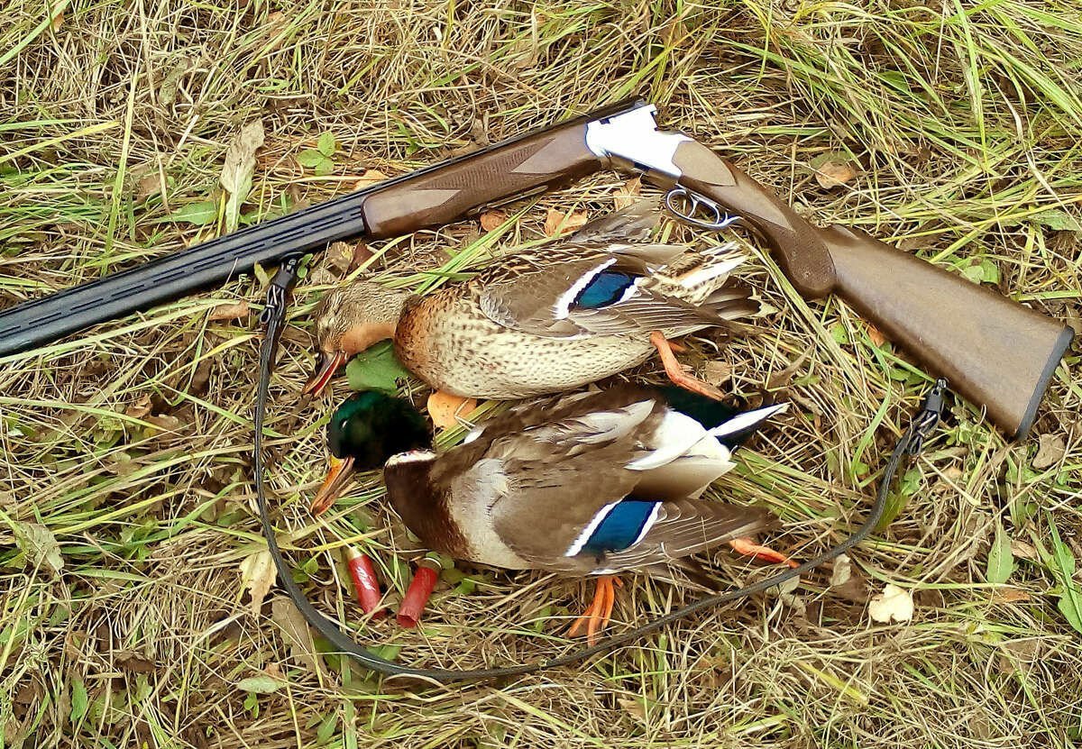 Весенняя охота 2022 уток с чучелами