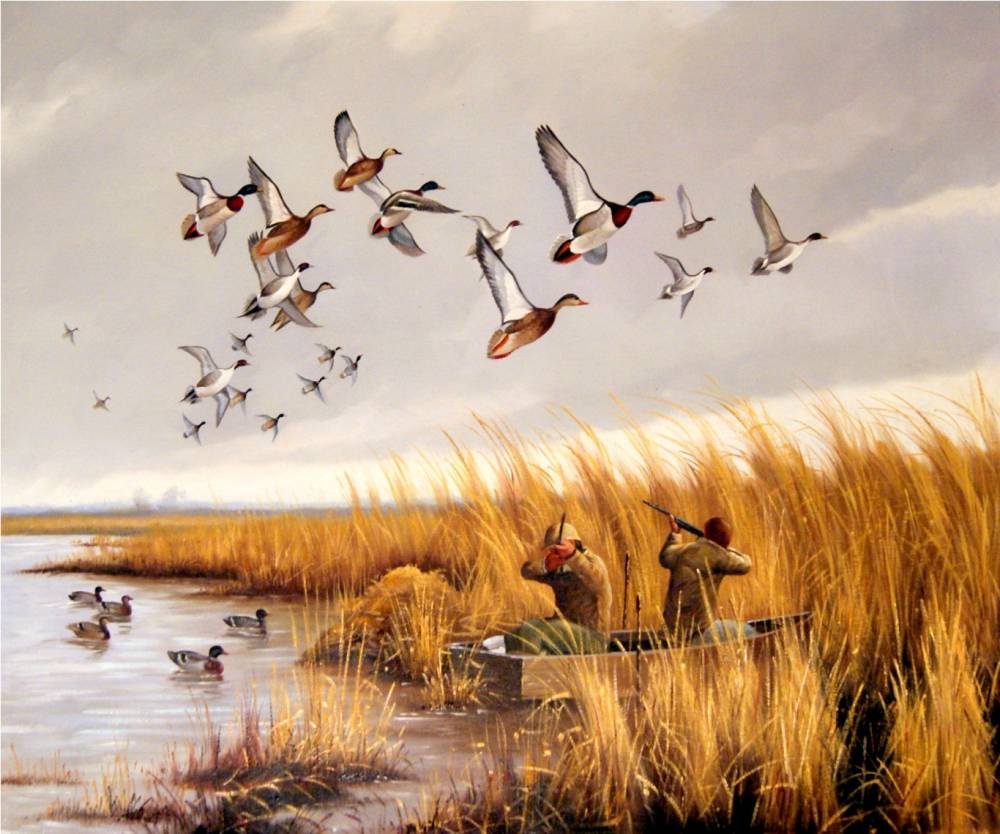 Водоплавающая, болотно-Луговая, Полевая, Степная Пернатая дичь