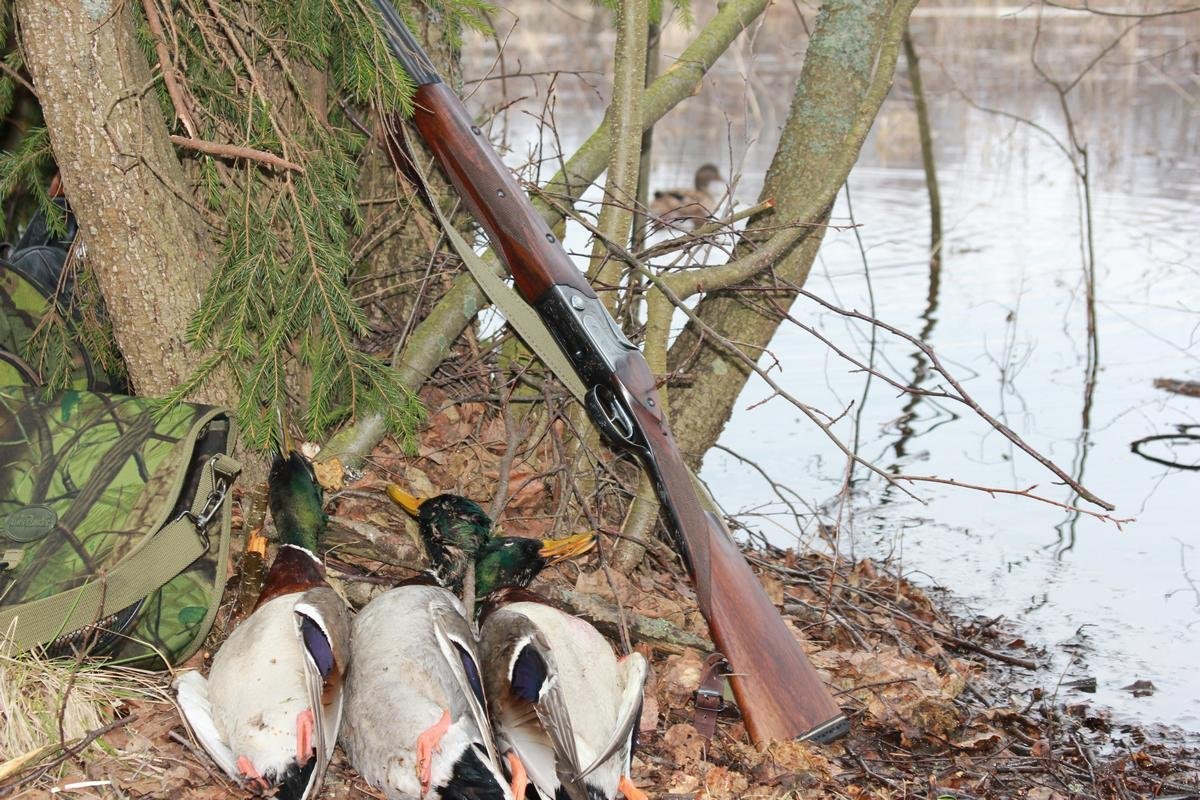 Картина «Утиная охота» rjntijd