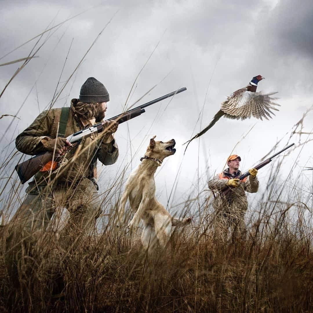 Охотник на уток