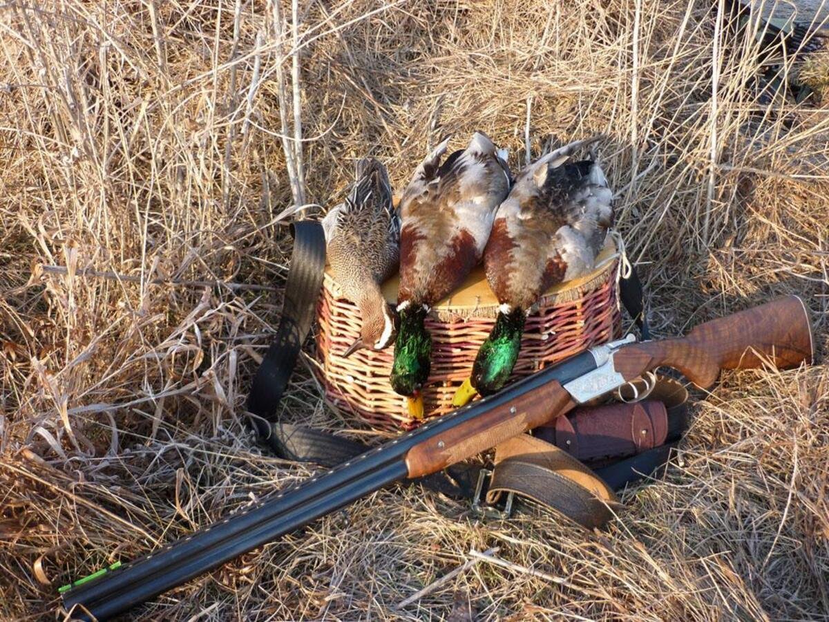 Охота на водоплавающую дичь 2020