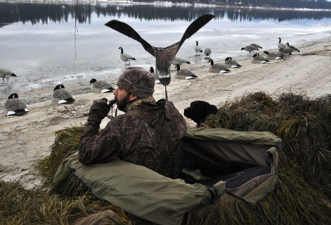 Промысловая охота на птиц