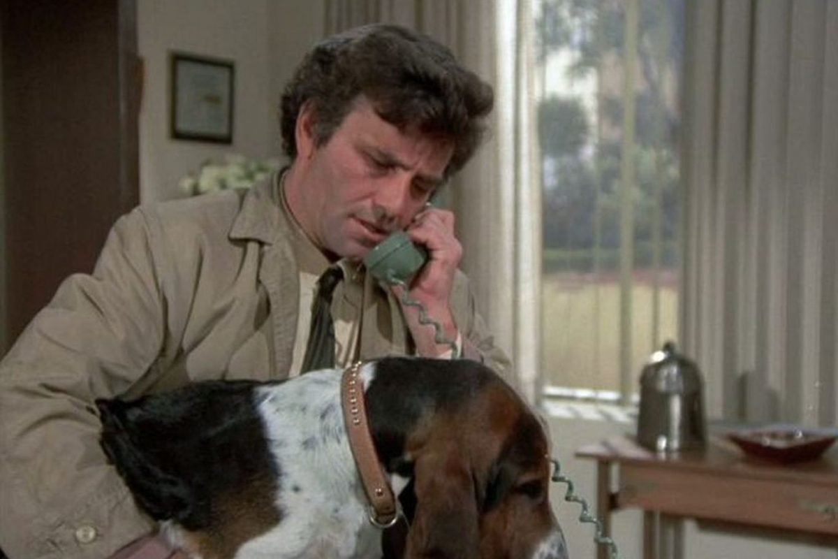 Собака Коломбо порода Бассет