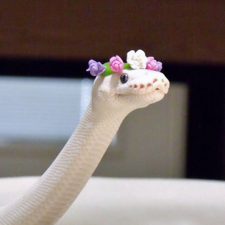 Тату змея акварель