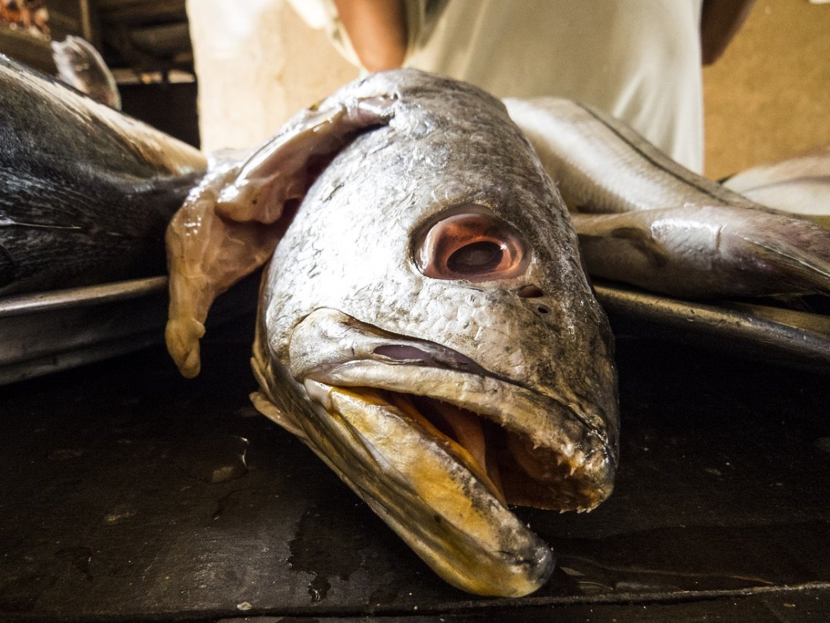 Секрет Луизы фуагра