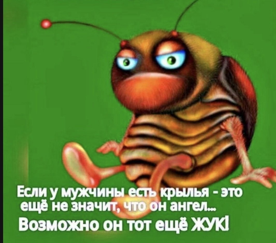 Жук дровосек Титан