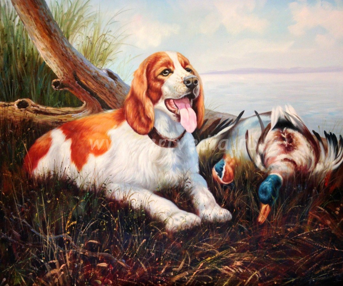 Вышивка английский кокер спаниель