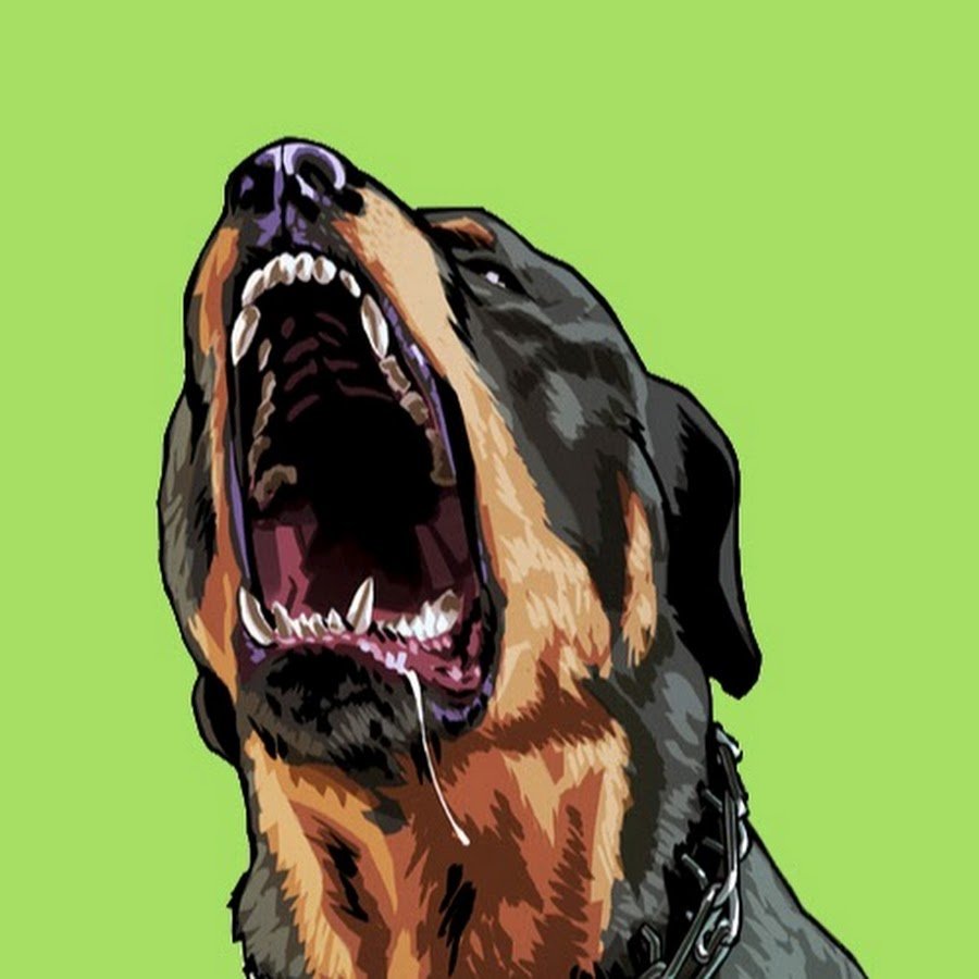 Ротвейлер Чоп