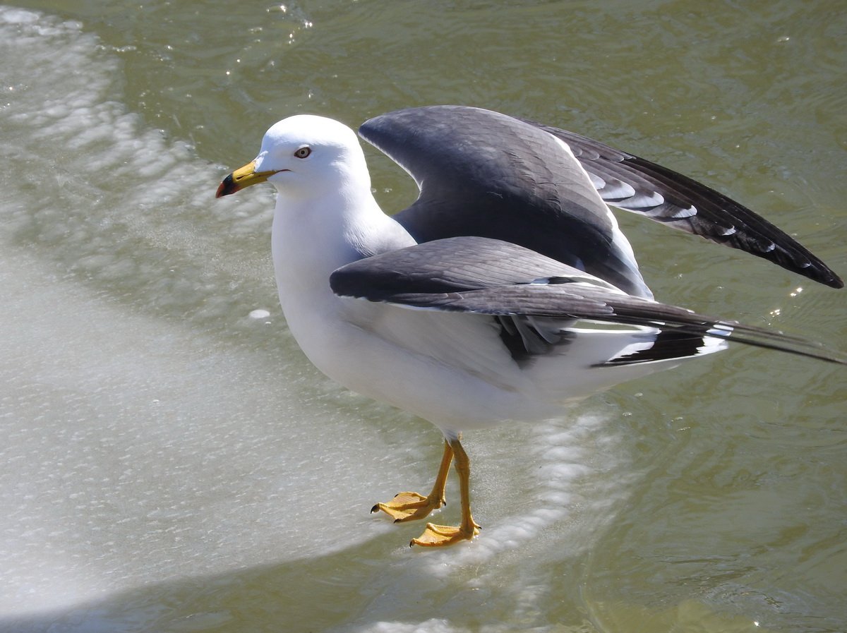 Костя Попов Инстаграмм