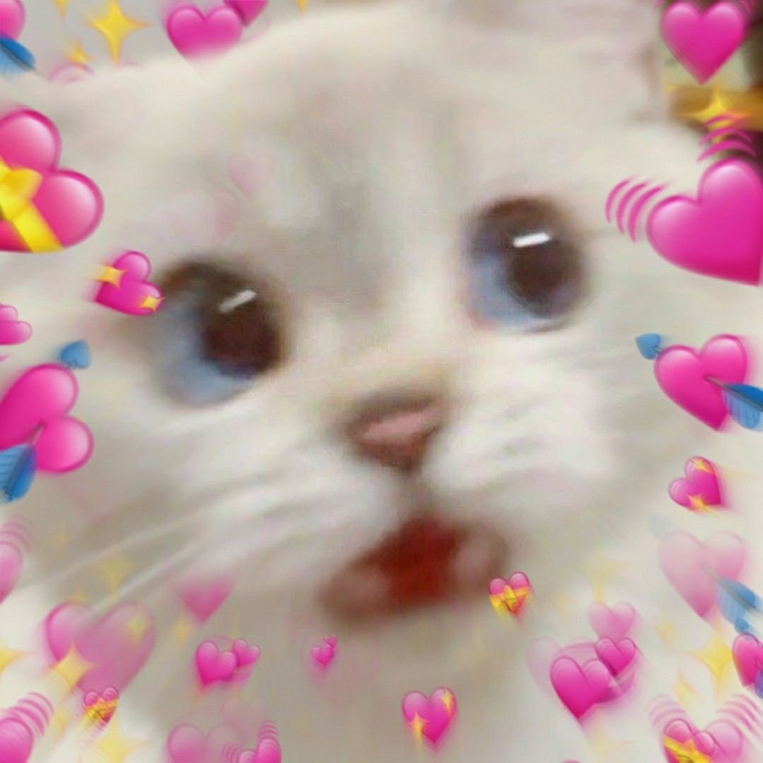 Плачущие котики