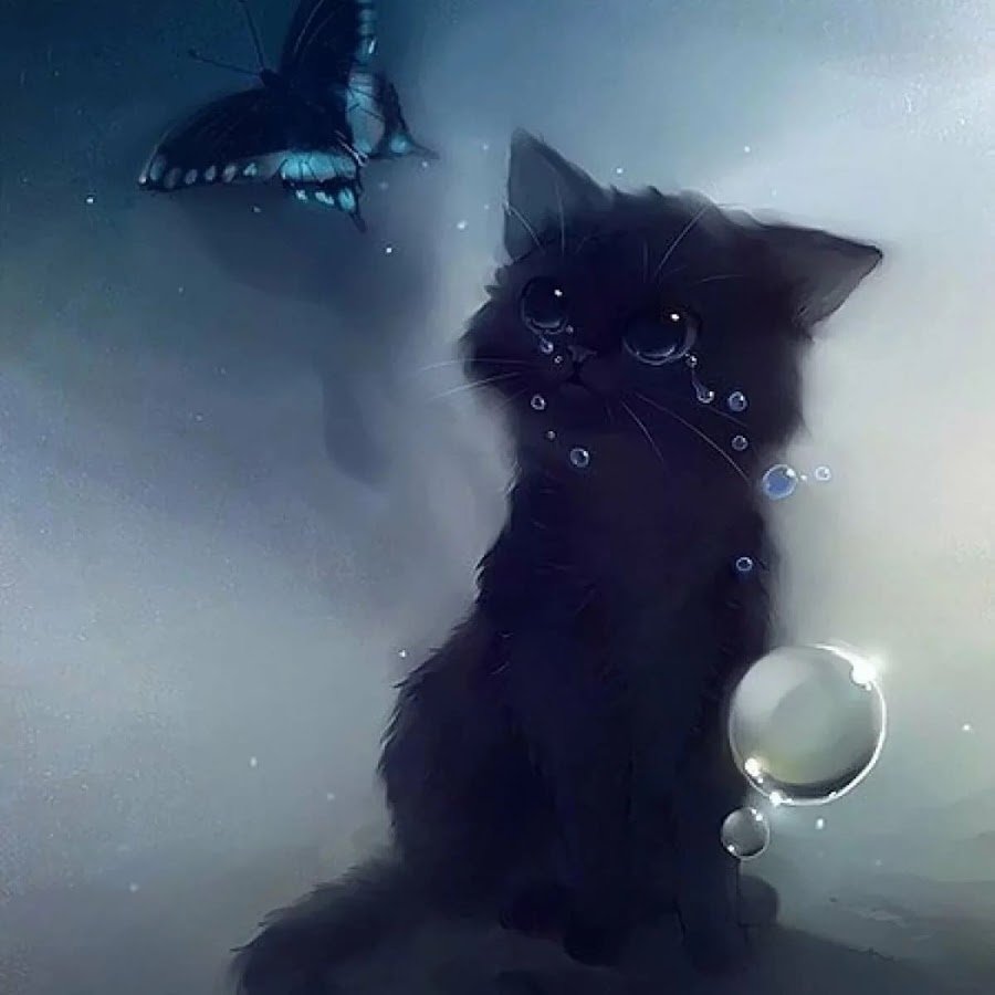 Маленький котенок