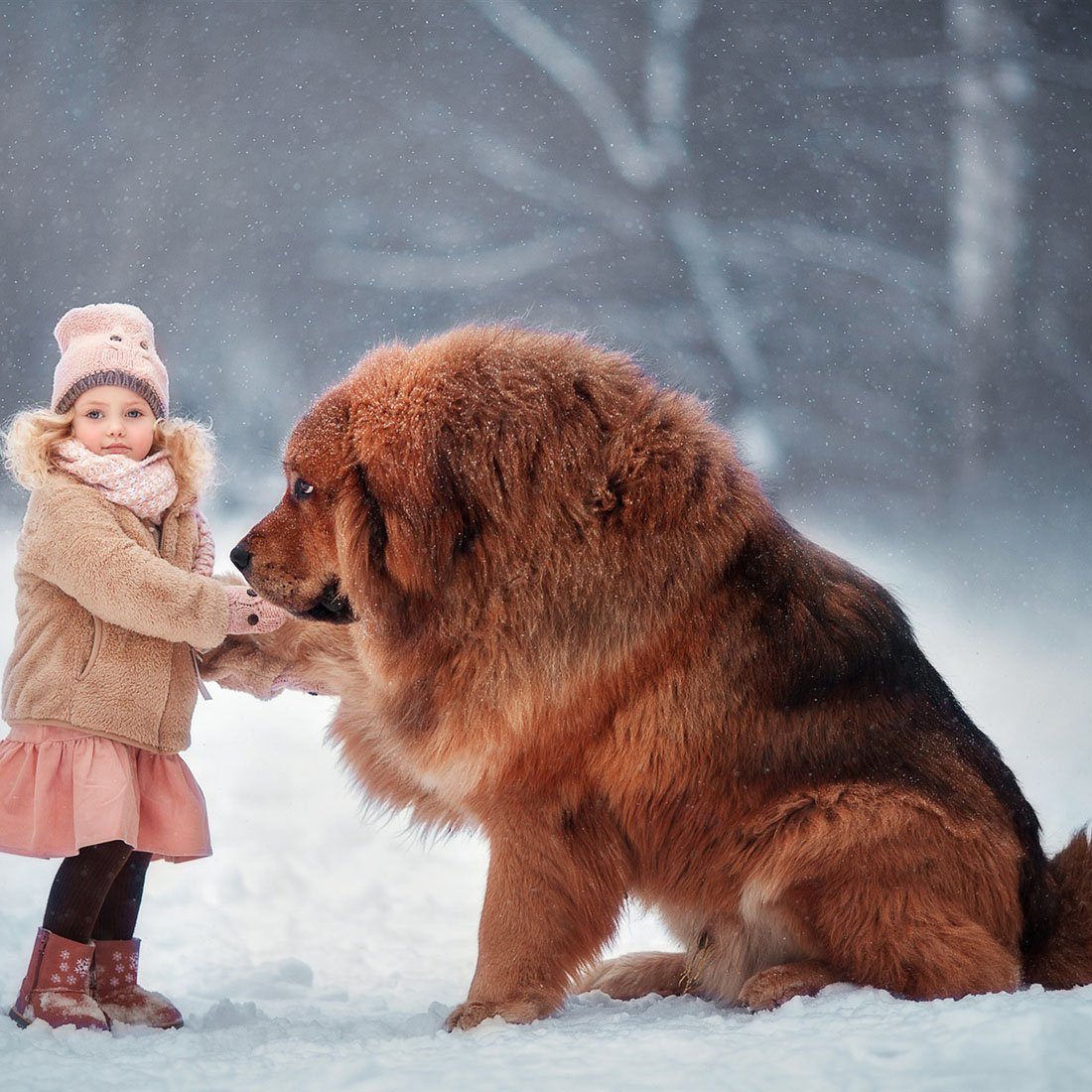 Мордовский мастиф